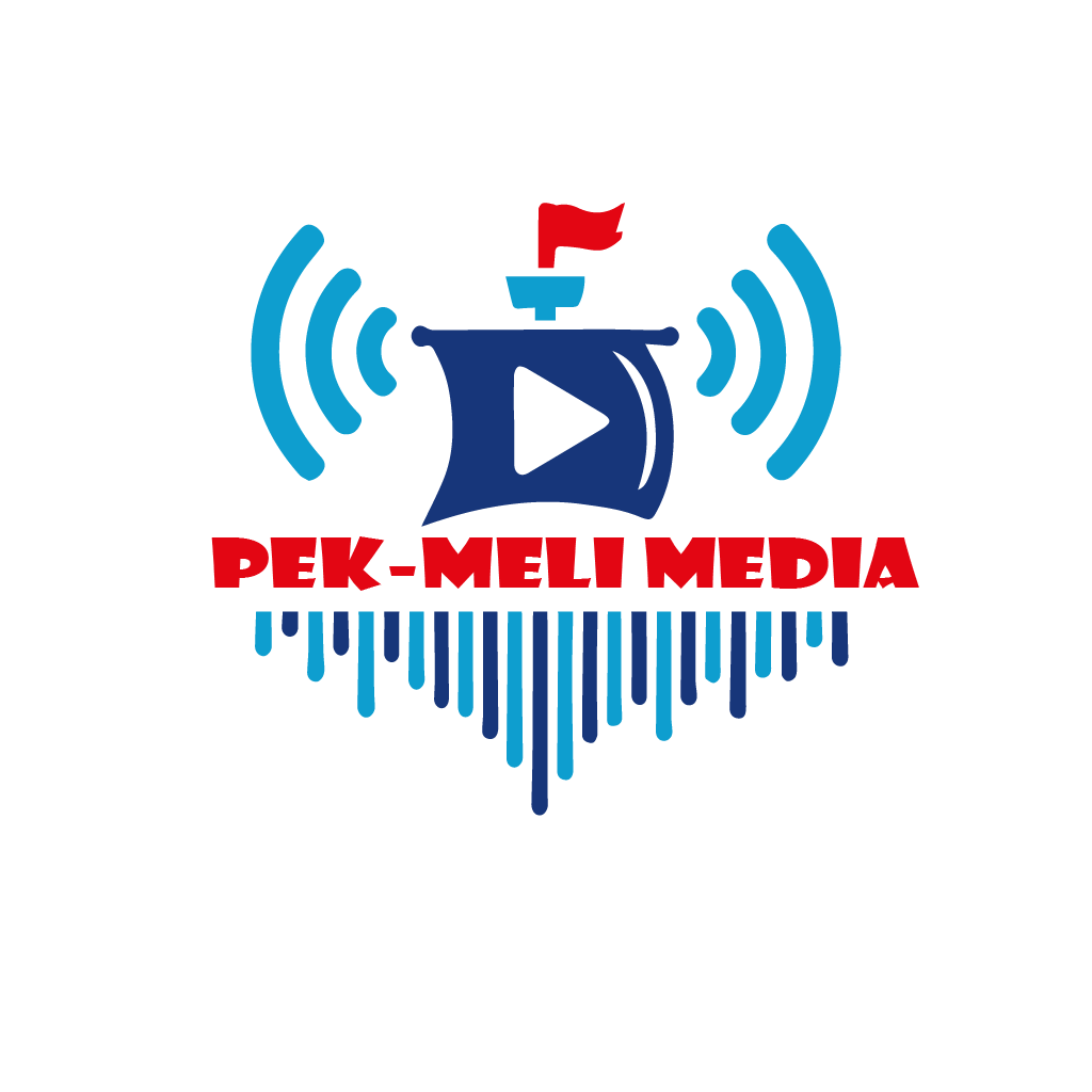Logo 13